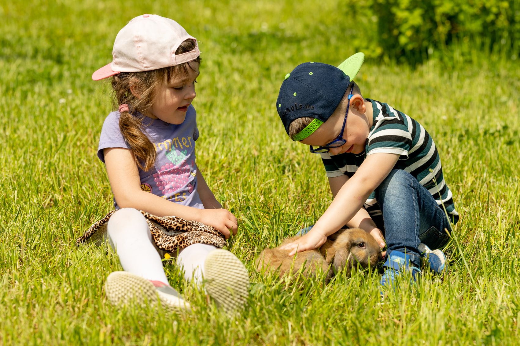 dzieci bawią się z królikiem na łące w agroturystyce pod ptasią górą